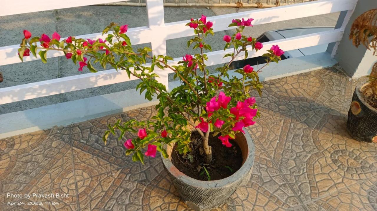 Shivalik River Retreat Almora Εξωτερικό φωτογραφία