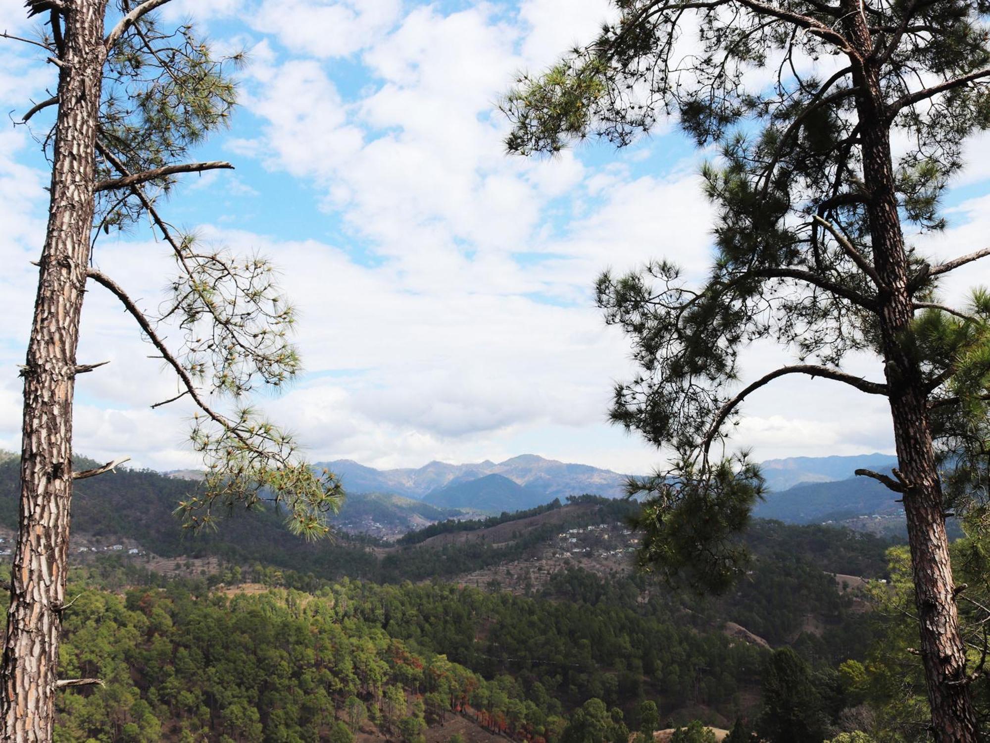 Shivalik River Retreat Almora Εξωτερικό φωτογραφία